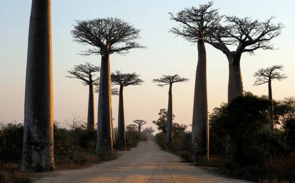 Madagascar